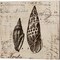 Ocean Collection by Sabine Berg 14" x 14" Canvas Wall Art (Set of 2)